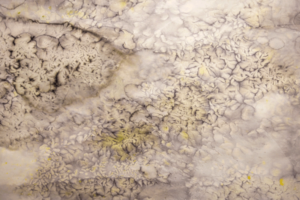 PATRICIJA GILYTE – COLD LANDS